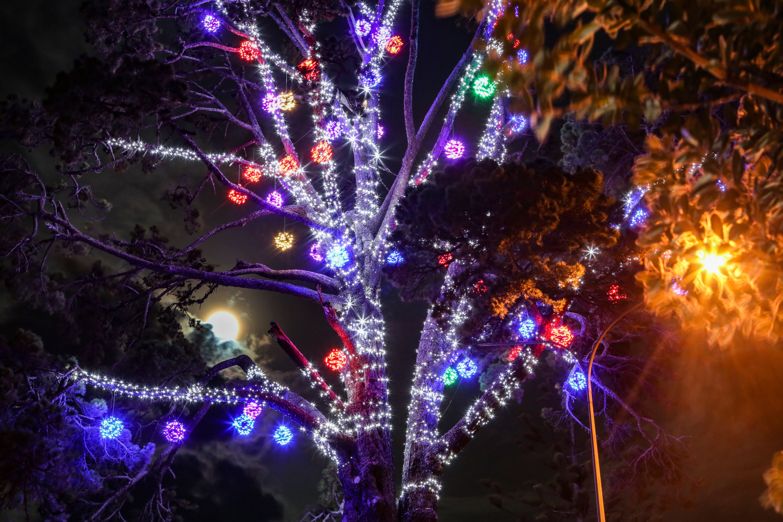 Top Of The Hill Christmas Lights Delaware 