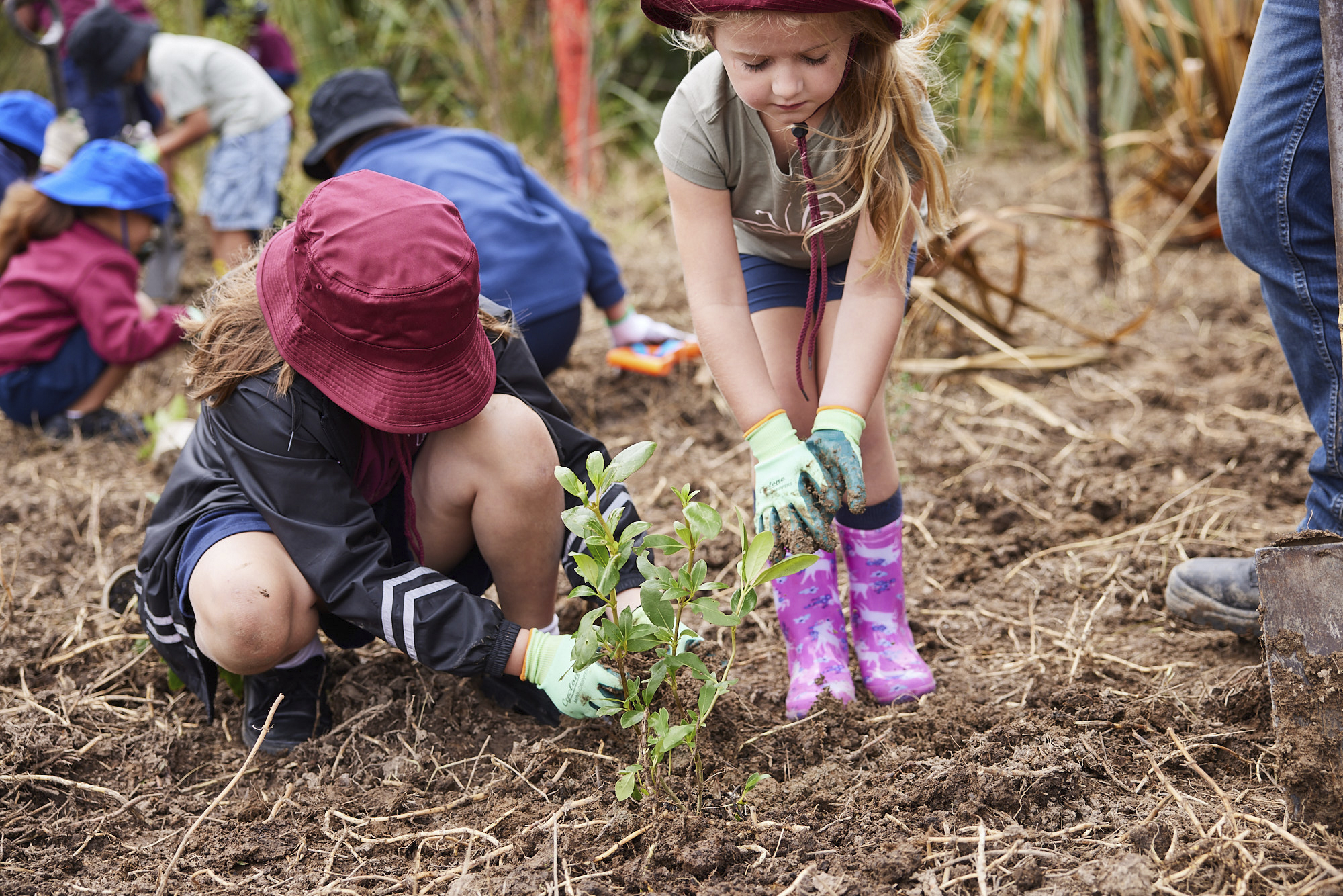 School digs deep for wetland - Times